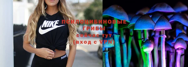 mdpv Ельня