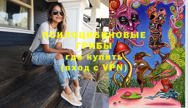 mdpv Ельня