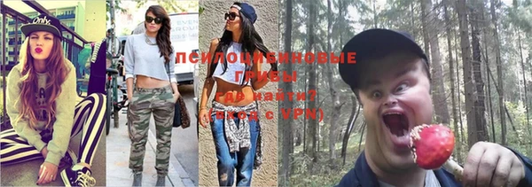 герыч Елабуга