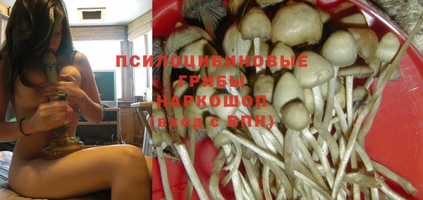 mdpv Ельня