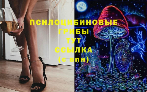 герыч Елабуга