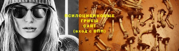 mdpv Ельня