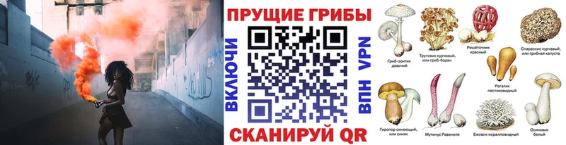 Купить  Камешково  Галлюциногенные грибы ЛСД 